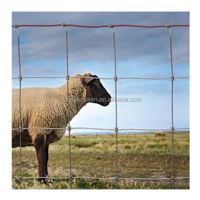China Iron Metal Type Farm Field Fence for Sheep and Goat Animals at 1.2 m x 100 m Size for sale