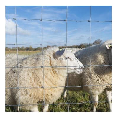 China Galvanized 4ft 5ft 6ft 8ft Height Grassland Guard Agricultural Field Fence for Pasture for sale