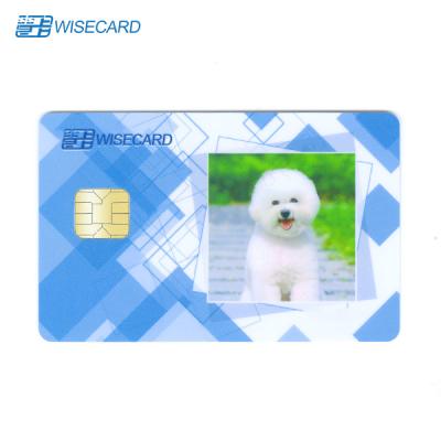 China PVC Smart Card da empresa, processo sem contato da fotografia de Chip Card With Half Color à venda