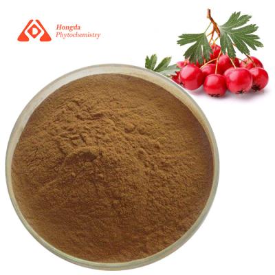 China Food Grade Hawthorn Fruit Extract Hawthorn Berry Extract Powder 80 Mesh for sale