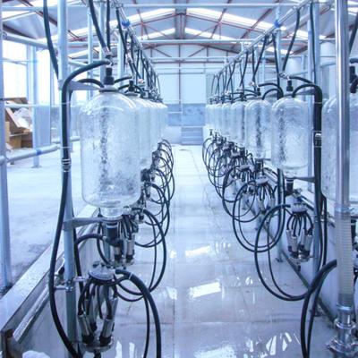 Chine Système en arête de poisson de salon de traite de mesure en verre automatique de lait à vendre