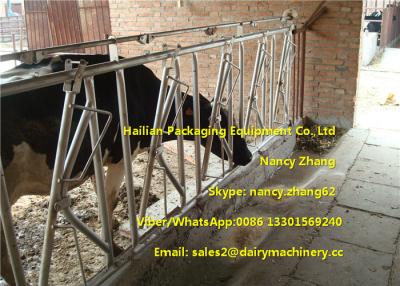 China Farm Customized Cow Headlock / Cattle Feeding Panels Hot Dip Galvanizing Pipe for sale