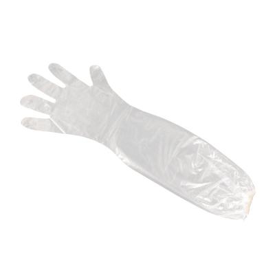 China Household 60cm Arm Length Plastic Gloves Single Use for sale