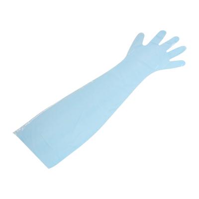 China Food Handling FDA Disposable Shoulder Length Gloves With Elastic for sale