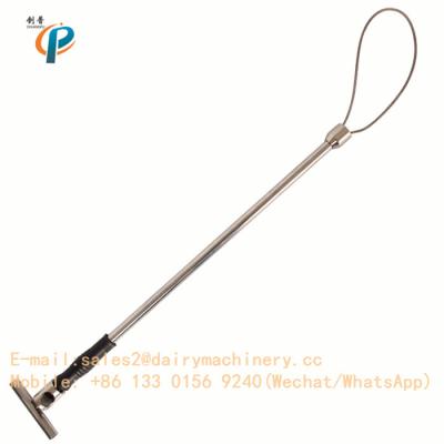 China Stainless Steel Pig Holder Dairy Machinery Appliance Pig Farm Hog Catcher 65cm Length for sale
