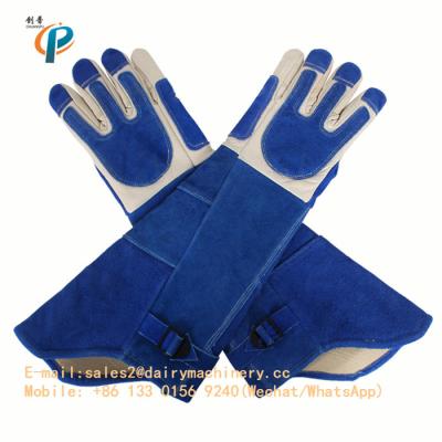 China Blue Color Leather Animal Control Gloves , Animal Handling Gloves For Dog / Cat for sale