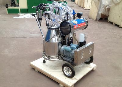 China Two Buckets Mobile Milking Machine , Vacuum Pump Dairy Milking Equipment for sale
