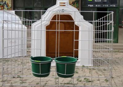 China Pozo - el equipo de alimentación ventilado del becerro con la cerca ancha, elabora refugios libres del becerro en venta