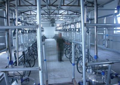 China 32 Milking Units Quick - Release Herringbone Milking Parlor For Small , Medium , Large Farm for sale