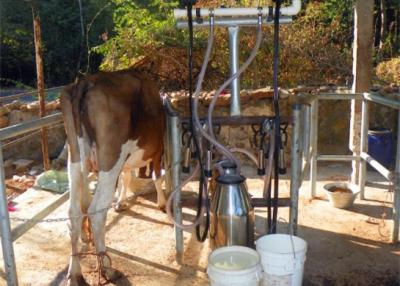 Chine Petite machine à traire faite maison avec traire la tasse de trayon de groupe de groupe/lait à vendre
