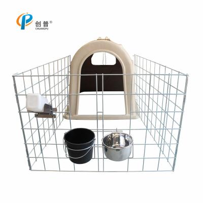 China Little Cow And Goat 4mm Dairy Calf Hutches Hot Dip Galvanized Pipe for sale