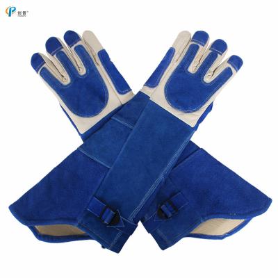 China Protective First Layer Cowhide Suede Gloves 55*25*13.5cm Animal Rescue for sale