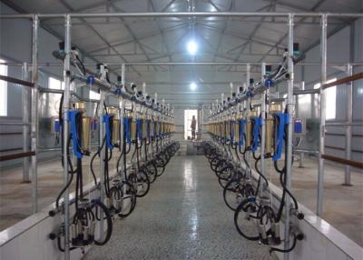 China Parallel Quick-Release Automatic Milking Parlour  with Waikato Milk Flow Meter for sale