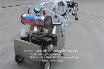 China Portable Sheep Milking Machine / Goat Milking Equipment With Gasoline Engine for sale