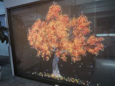 China RGB Color LED Transparent Screen Outdoor Transparent LED Display For Shop Windows for sale