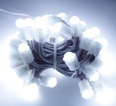 China luz LED blanca de exterior resistente al agua 50 Leds DC 12V 9mm LED luz de cadena de píxeles en venta