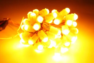 Cina Miracle Bean LED decorazioni natalizie LED punto luce pixel singolo colore LED luce pixel LED pixel stringa luce in vendita