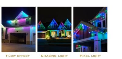 China Permanent Holiday Light WS2811 2904 Ic Christmas Lights Amusement Park 30mm Pixel  Rgb RGBW Led Point Light for sale