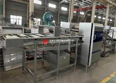 China Línea de transformación automática de los tallarines inmediatos de los tallarines del cortador comercial de la máquina en venta