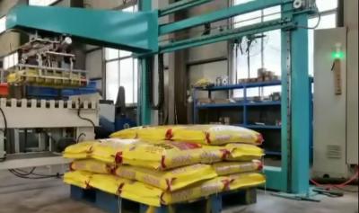 China Low Position Palletizer Equipment Material Handling Packaging 50kg Bag for sale