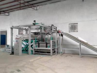 China Plastic Cement Palletizer Conventional Bag Palletizer Safety Conveyor for sale