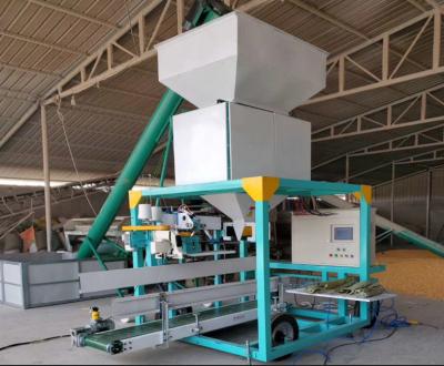 Chine De machine à ensacher de pesage de sable d'engrais double mobile automatique de la charge cel et à vendre
