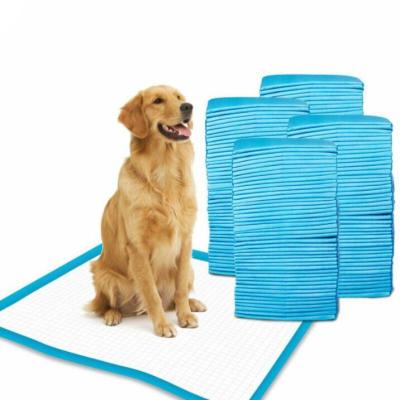China S&J Dog Cat Super Absorbent Pet Training Pads Puppy Pee Pad Disposable Pet Potty Pet Pad OEM for sale