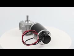 63mm brushed dc motor with worm gearbox with encoder