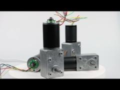 50mm brushed / 42mm brushless dc motor with worm gearbox