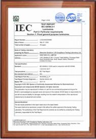 IEC - Vikstars Co., Limited