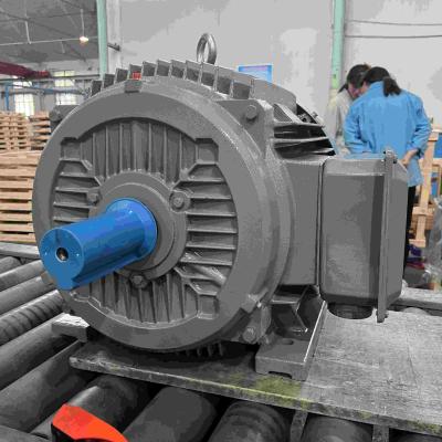China Dust Proof Three Phase High Efficiency Electric Motor For Dust Area With GOST for sale