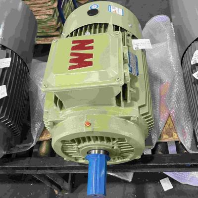 China 415V AC Induction High Efficiency Electric Motor For Sugar Compressor for sale