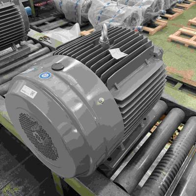 China AC Copper Three Phase Motor High Efficiency For Oil Pumps for sale