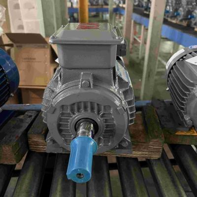 China Cast Aluminum Frequency Conversion High Efficiency Electric Motor en venta