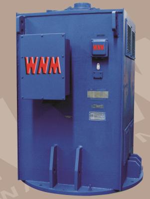 China Variable Speed High Voltage Induction Motors 3C 10kv for sale