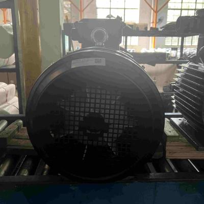 China High Voltage Induction 3 Phase Electric Motor Waterproof High Efficiency For Compressors for sale