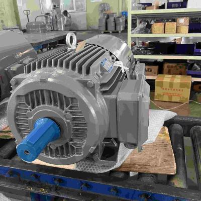 China High Efficient 10 Hp Electric Motor 3 Phase 380V IP55 / 56 / 65 for sale