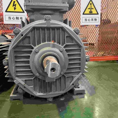 China 15KW IE3 Iron Steel Three Phase Electric Motors For Conveyors for sale