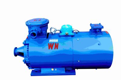 China Medium Voltage 3 Phase Electric Motor Fixed Speed High Efficient for sale