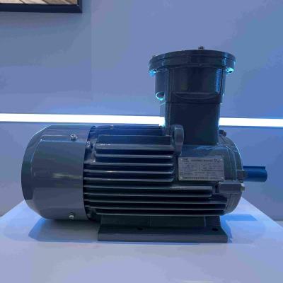 China Steel AC Induction Medium Voltage Triple Phase Motor for sale
