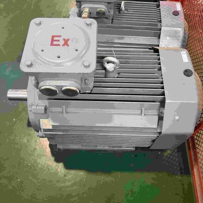 China High Voltage Stinless Steel Flameproof Electric Motor Three phase for sale