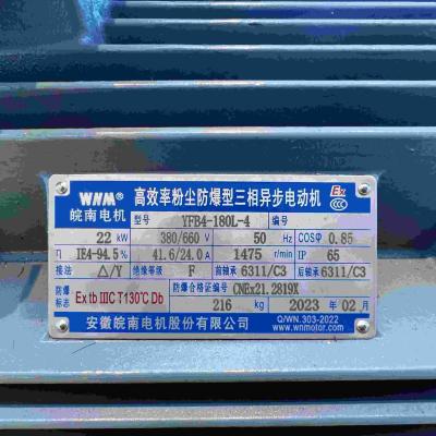 China Motor elétrico trifásico eficiente alto à prova de explosões à venda