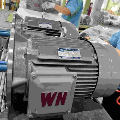 China IE5 Variable Speed Electric Motor for sale