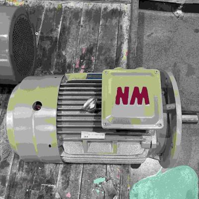 China Quick Stop Function Variable Speed Electric Motor For Forging Press for sale
