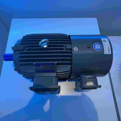 Chine Moteurs électriques spéciaux superbes Marine Three Phase Induction Motors de rendement élevé avec CCS à vendre