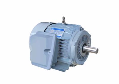China Marine Special Electric Motors Three Phase High Efficient CE IP66 for sale