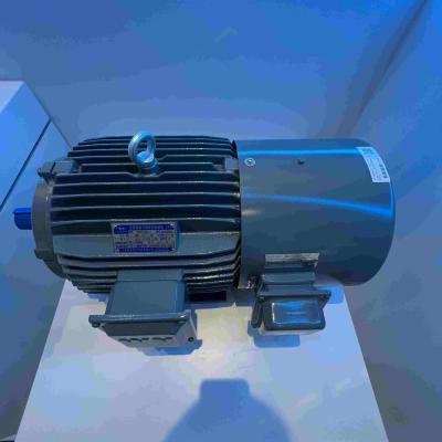 China Synchrone Motoren van de water de Bestand Permanente Magneet met GOST Te koop