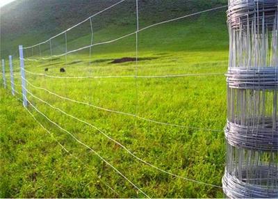 China Animal Rural Farm 150mm Hinge Joint Fence Hot Dipped Galvanized Steel Wire Mesh for sale