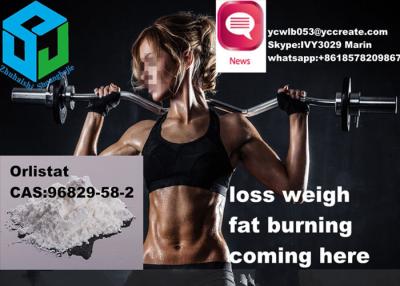 China Fat Reduce and Weight Loss Drugs  Orlistat CAS 96829-58-2  Fat Burning steroid from china factory for sale