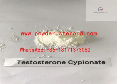 China Anabolic Raw Steroid Powders Testosterone Cypionate For Body Muscle Growth For Big Muscle for sale